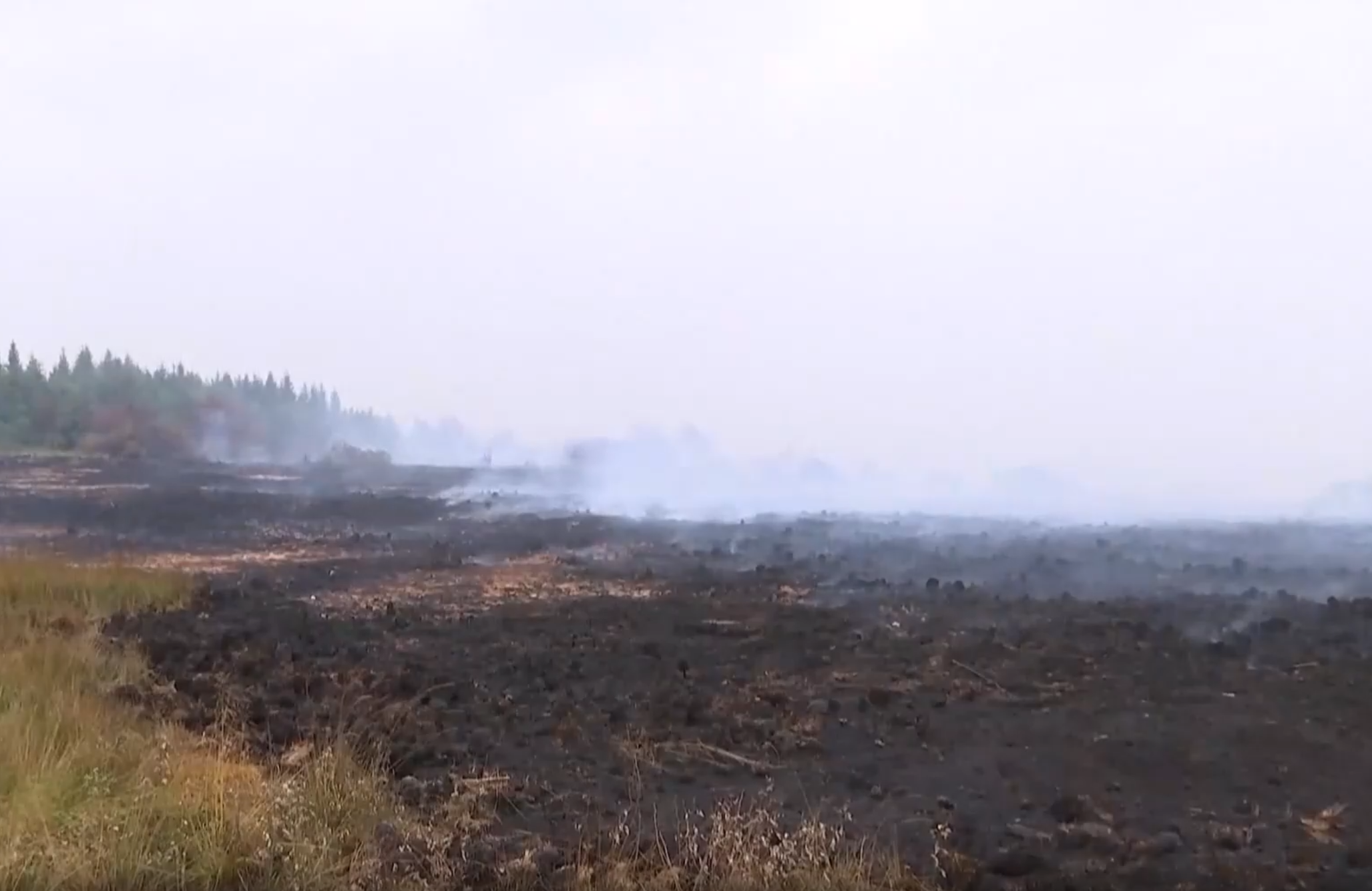 Europa presa no turbilhão da seca e dos incêndios florestais - Foto 3.