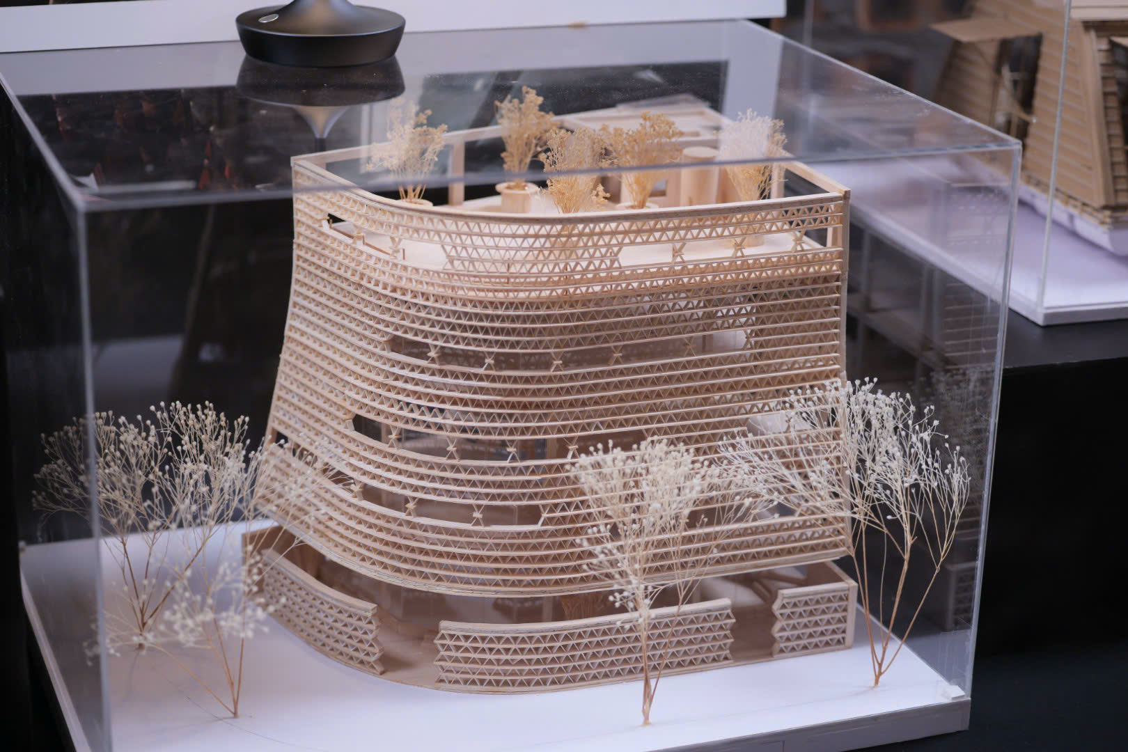 Chương Trình 'Culture By Design' Ra Mắt Tại Việt Nam - Ảnh 2.