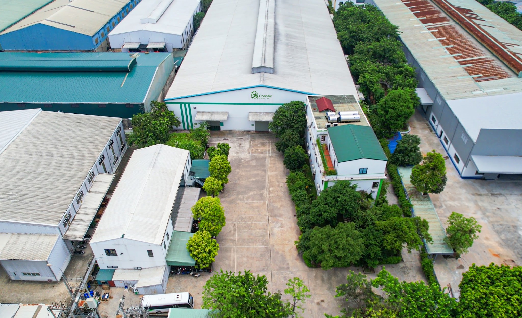 Cỏ Mềm: Từ năng lực nghiên cứu đến chất lượng sản phẩm- Ảnh 3.