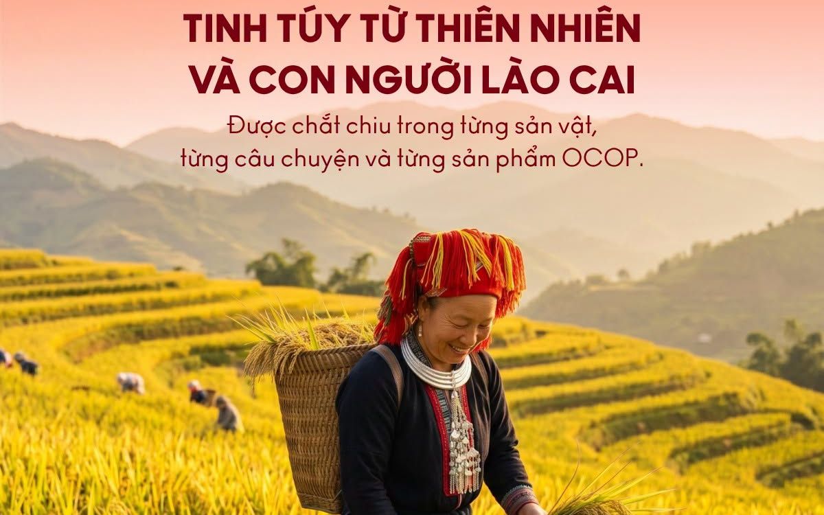 Sẽ c&oacute; hơn 40 sản phẩm OCOP tỉnh L&agrave;o Cai trong Mega livestream &ldquo;Mỹ vị Mường L&ograve;&rdquo; của VTV5 - Ảnh 14.