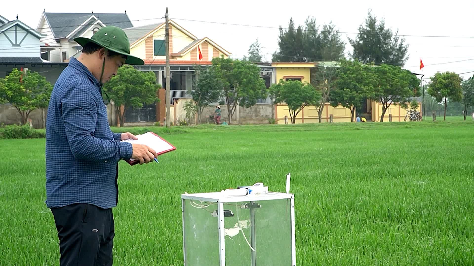 Quảng Trị ứng dụng công nghệ nâng cao giá trị nông sản - Ảnh 1.