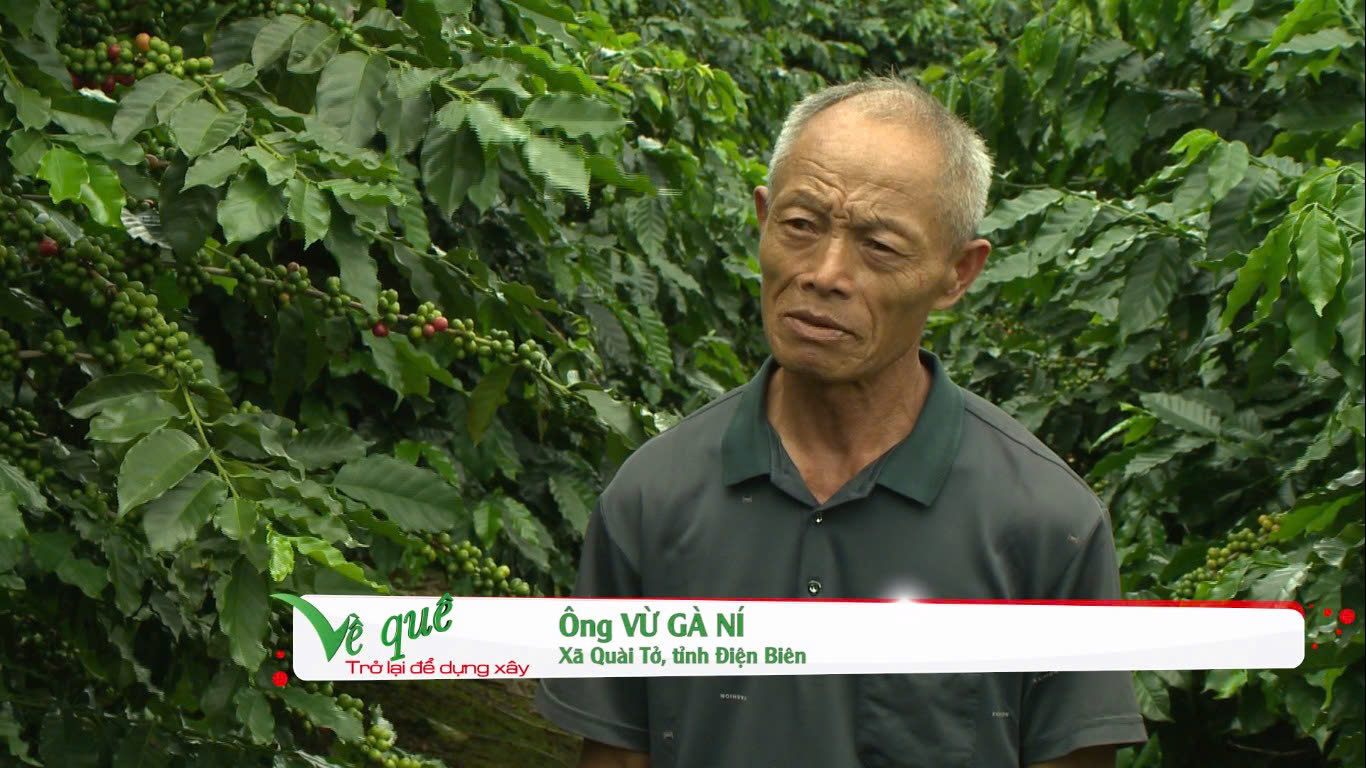 Quài Tở: Khi đất đơm hoa, kết trái- Ảnh 1. Quài Tở: Khi đất đơm hoa, kết trái- Ảnh 1.