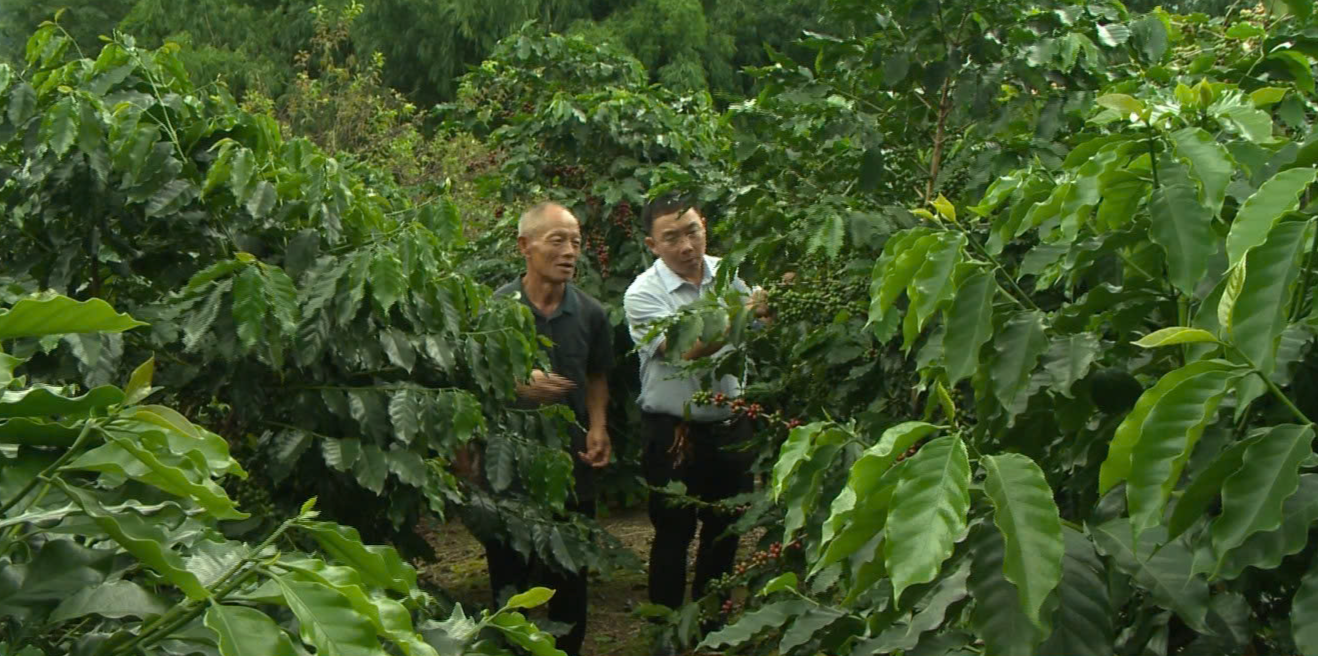 Quài Tở: Khi đất đơm hoa, kết trái- Ảnh 3. Quài Tở: Khi đất đơm hoa, kết trái- Ảnh 3.