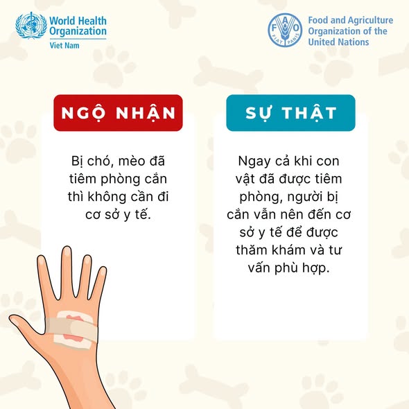 Bạn có chắc mình đã hiểu đúng về bệnh dại?- Ảnh 2.