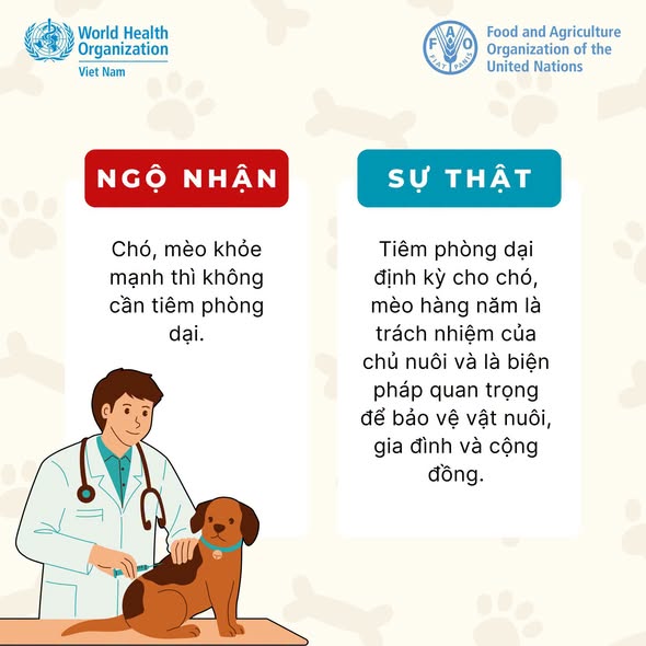 Bạn có chắc mình đã hiểu đúng về bệnh dại?- Ảnh 3.