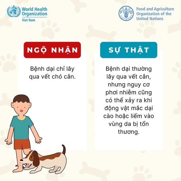 Bạn có chắc mình đã hiểu đúng về bệnh dại?- Ảnh 4.