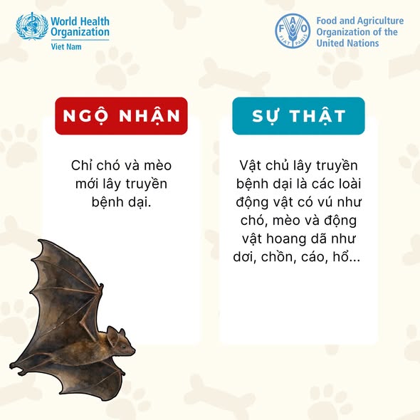 Bạn có chắc mình đã hiểu đúng về bệnh dại?- Ảnh 5.