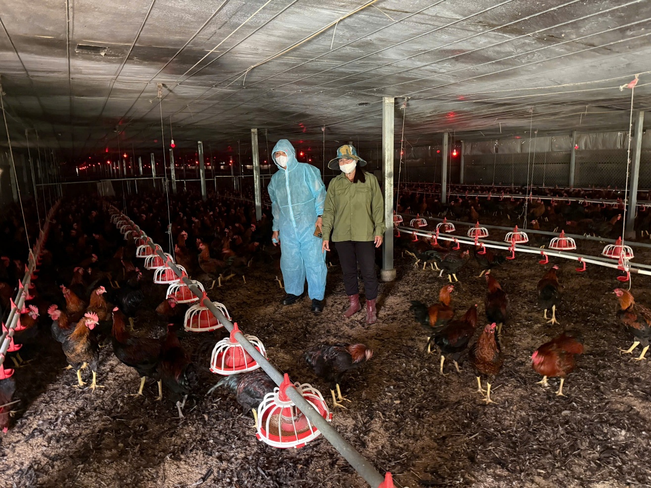 Japfa Việt Nam kiến tạo chuỗi gi&aacute; trị chăn nu&ocirc;i an to&agrave;n, hiệu quả v&agrave; bền vững- Ảnh 4.