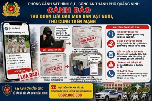 Cảnh giác thủ đoạn lừa đảo mua bán vật nuôi, thú cưng nhằm chiếm đoạt tiền - Ảnh 1.