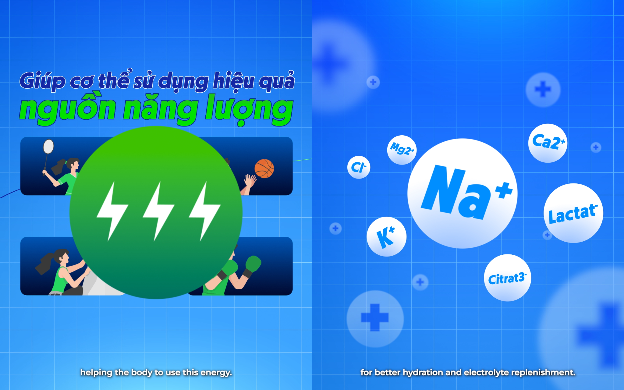 Revive Thể Thao: Bí quyết nâng cao sức bền, bứt phá giới hạn của các tuyển thủ quốc gia- Ảnh 4.