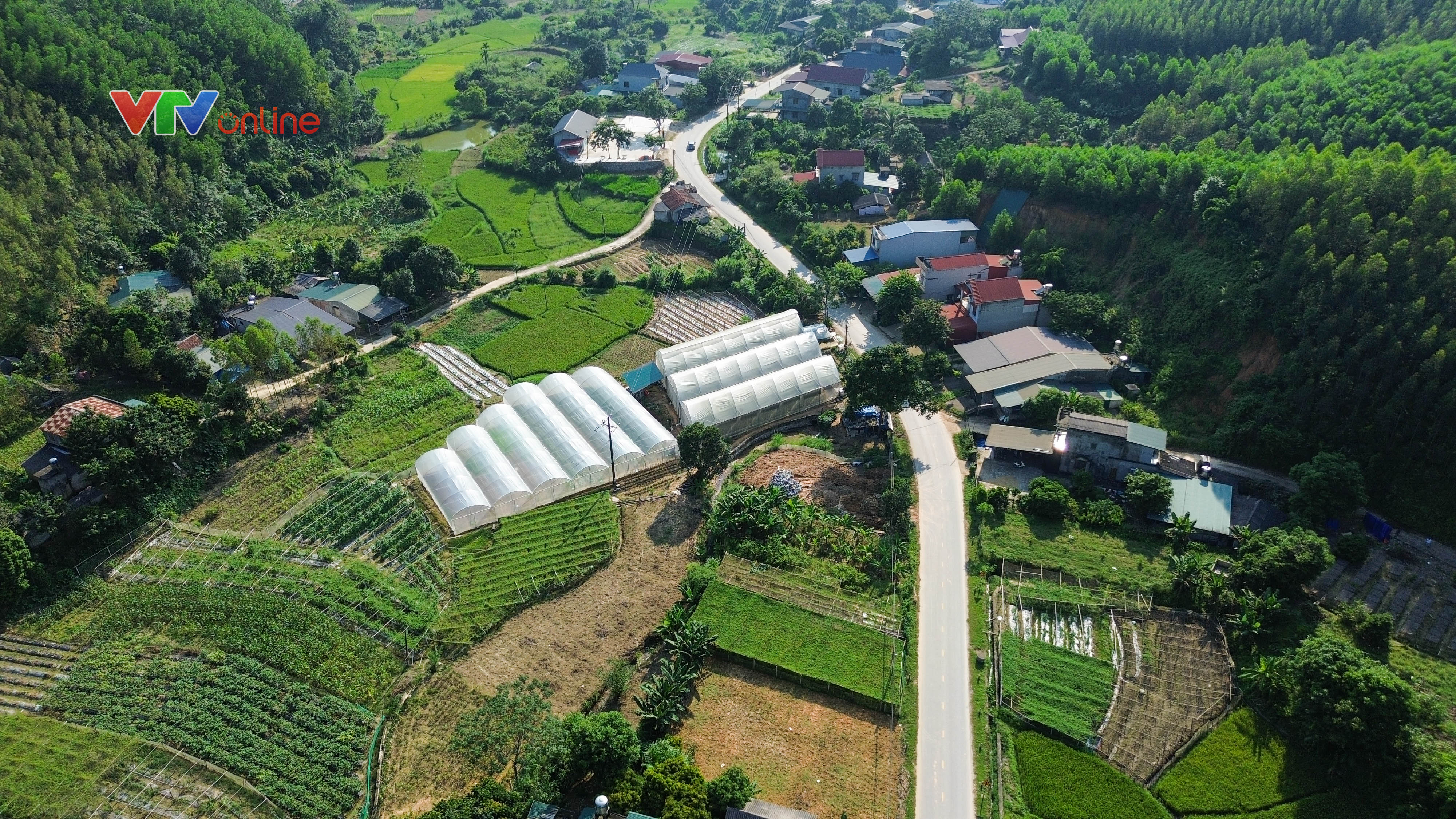Tuyên Quang: Chính quyền đồng hành, nông dân đổi mới tư duy sản xuất - Ảnh 4.