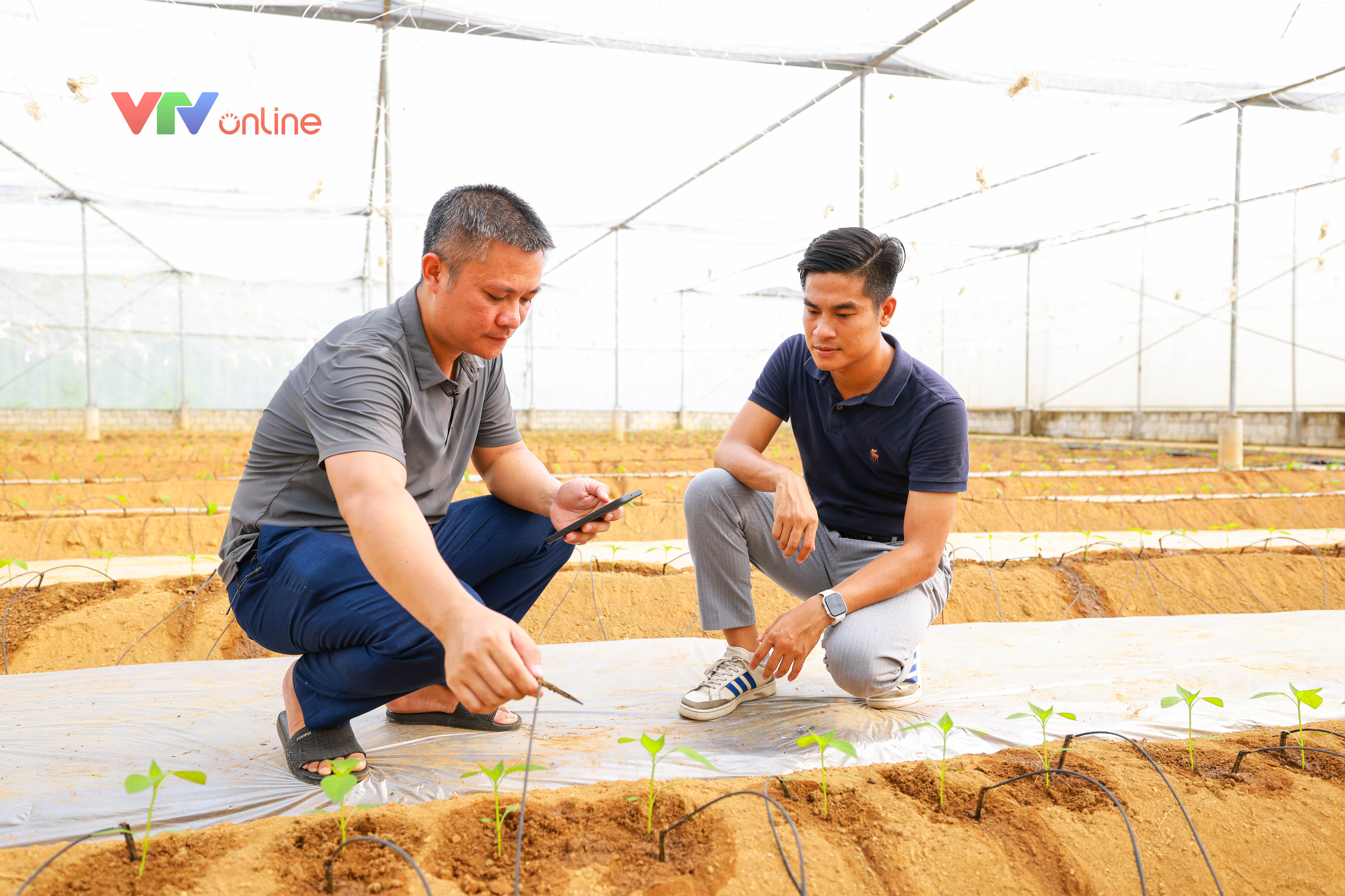 Tuyên Quang: Chính quyền đồng hành, nông dân đổi mới tư duy sản xuất - Ảnh 5.