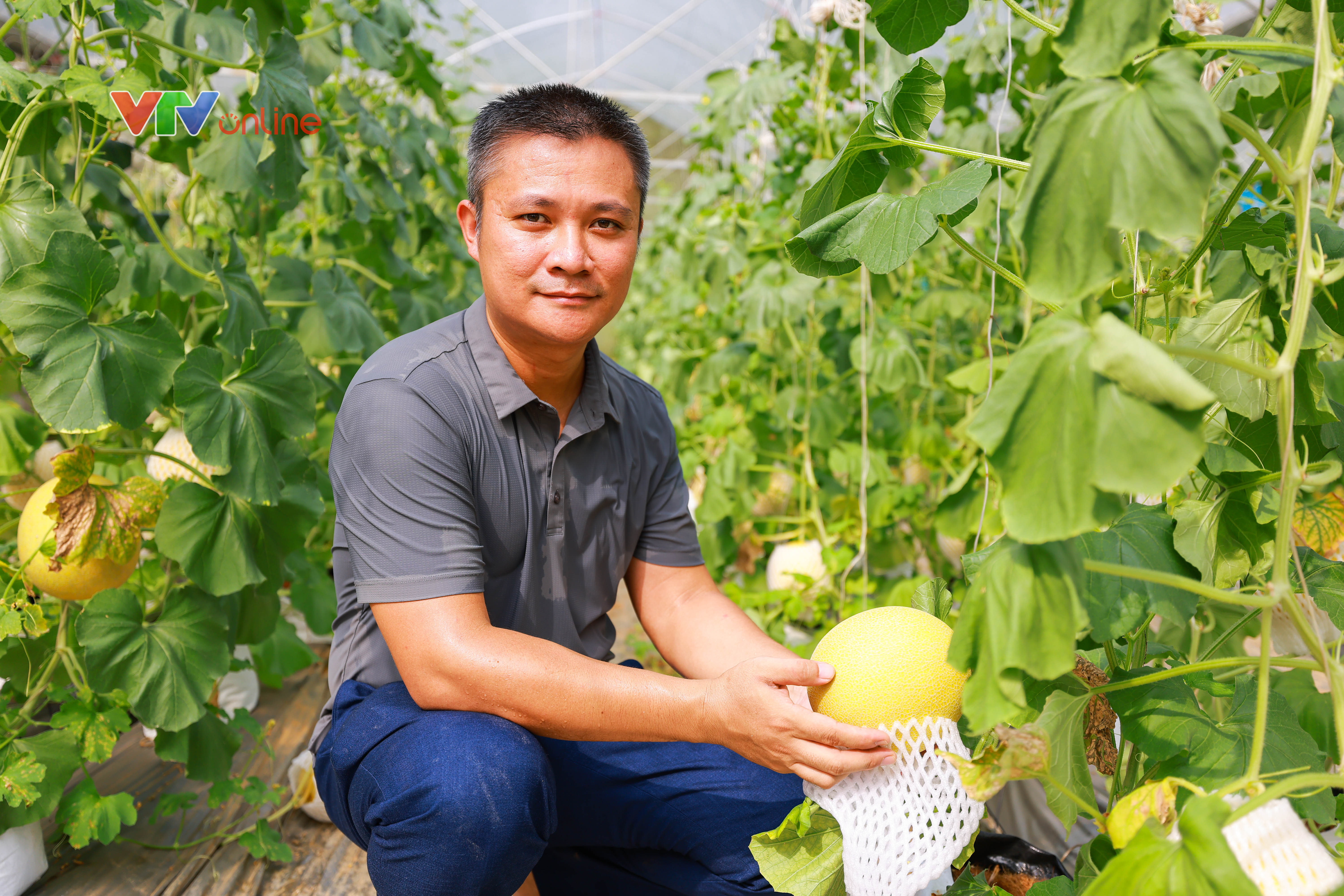 Tuyên Quang: Chính quyền đồng hành, nông dân đổi mới tư duy sản xuất - Ảnh 7.
