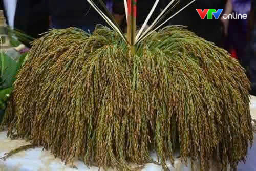 Về Đông Cuông, khám phá nét đẹp văn hóa từ Lễ hội Cơm mới - Ảnh 2.