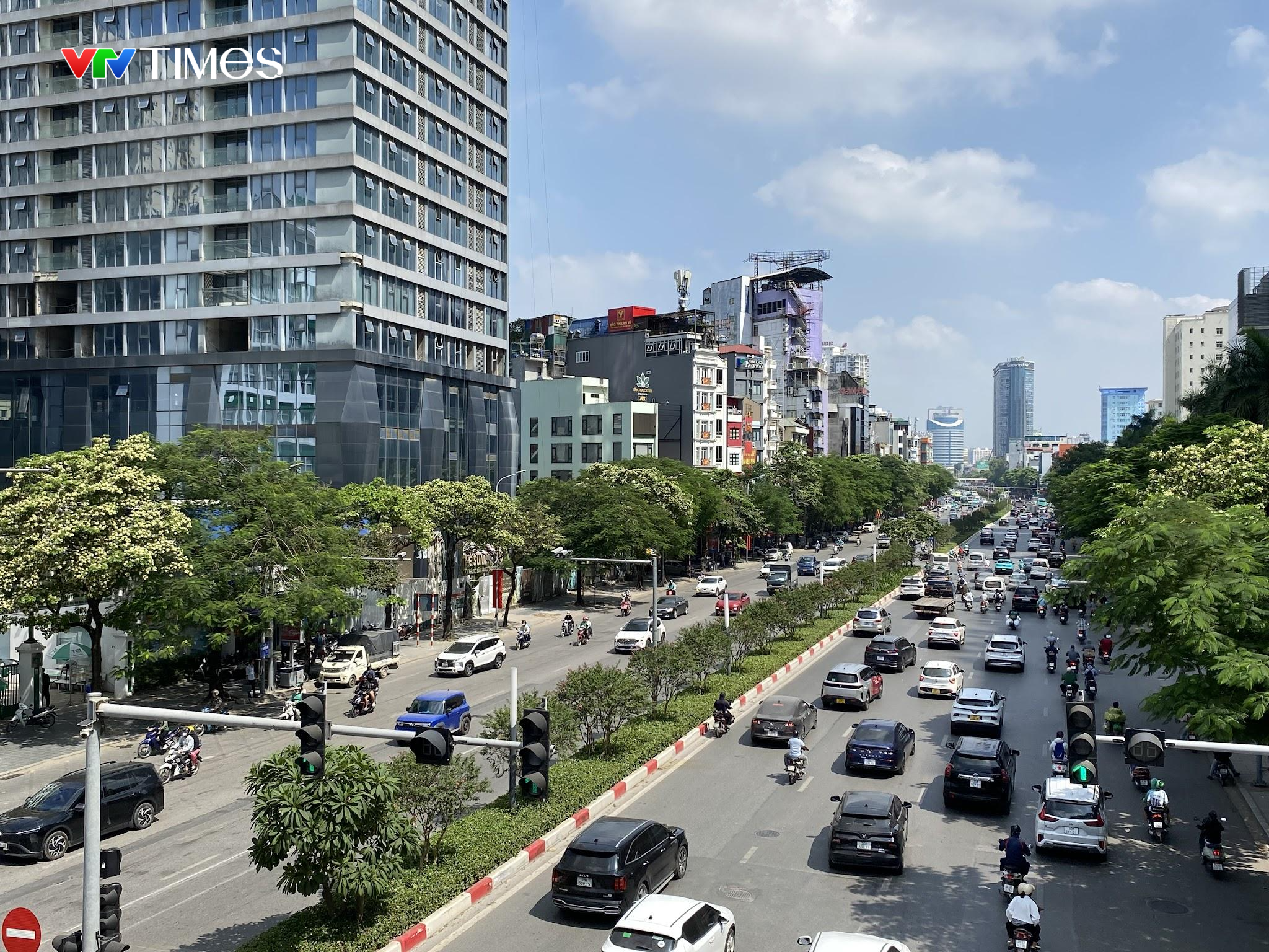 Hà Nội cắt tỉa hoa sữa: Người đồng tình, người muốn giữ làm kỷ niệm- Ảnh 1.