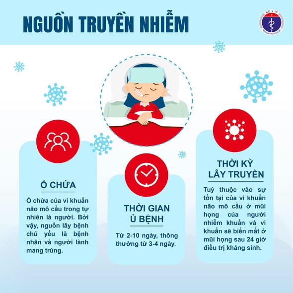 Infographic: Vi&ecirc;m n&atilde;o m&ocirc; cầu - hiểu đ&uacute;ng để ph&ograve;ng chống bệnh- Ảnh 2.