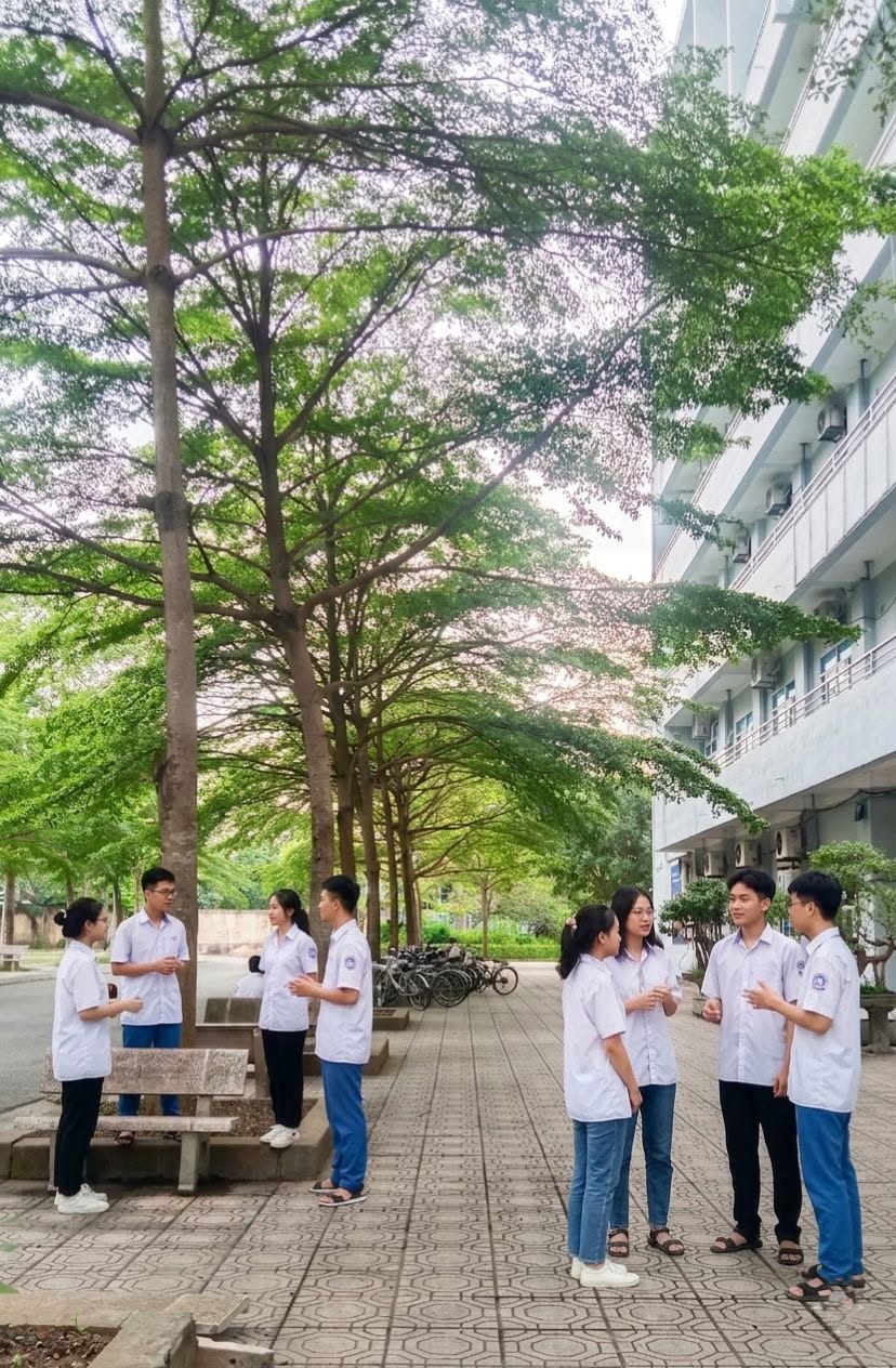 Chung kết Đường l&ecirc;n đỉnh Olympia 2026: 2 ng&ocirc;i trường lần đầu ti&ecirc;n c&oacute; cầu truyền h&igrave;nh- Ảnh 7.
