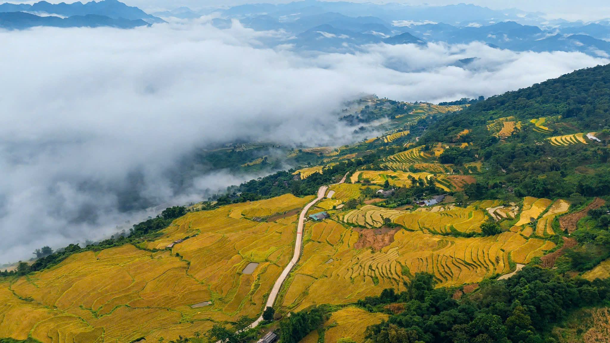Ngắm "biển vàng" mây vờn đẹp mê đắm ở Hồng Thái- Ảnh 8.