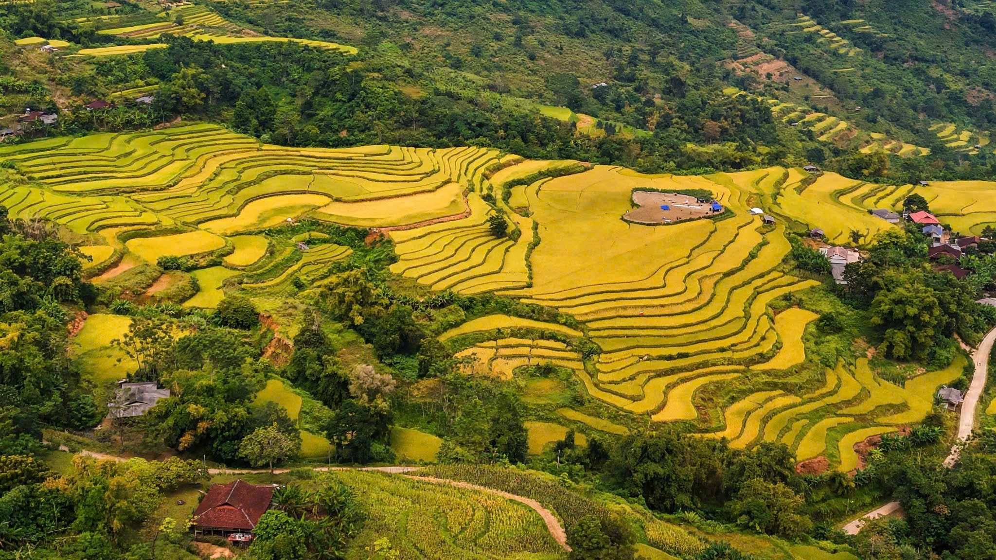 Ngắm "biển vàng" mây vờn đẹp mê đắm ở Hồng Thái- Ảnh 5.