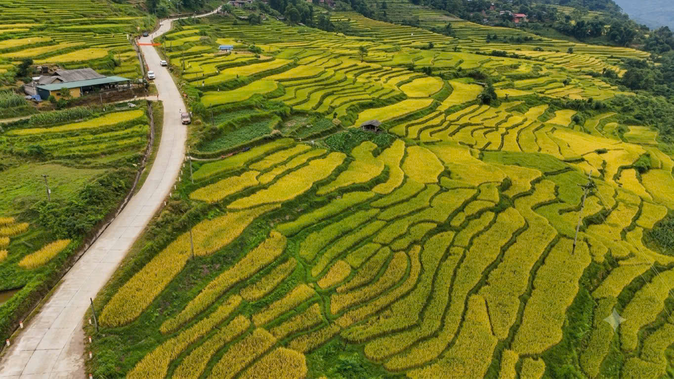 Ngắm "biển vàng" mây vờn đẹp mê đắm ở Hồng Thái- Ảnh 2.