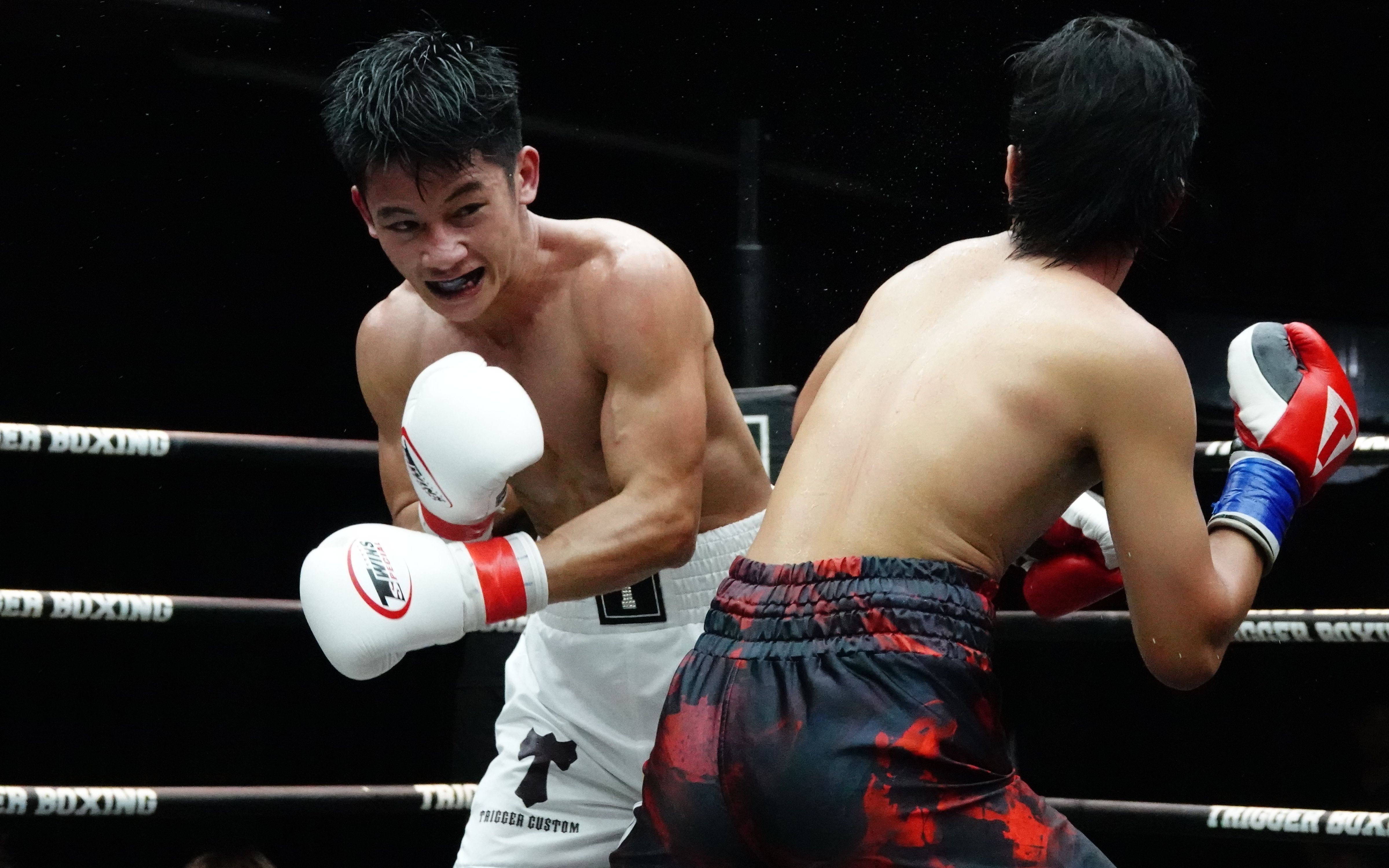 Tạo cơ hội cho võ sĩ trẻ, thúc đẩy boxing Việt Nam hội nhập