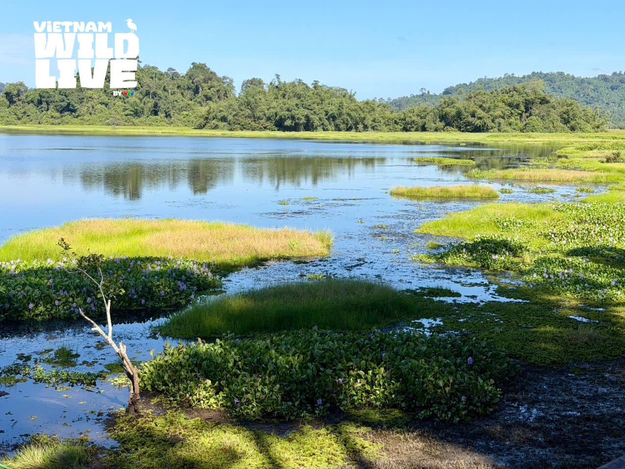 NSƯT Vũ Hoài Nam tiết lộ điểm mới của Vietnam Wild Live mùa 2 - Ảnh 1.