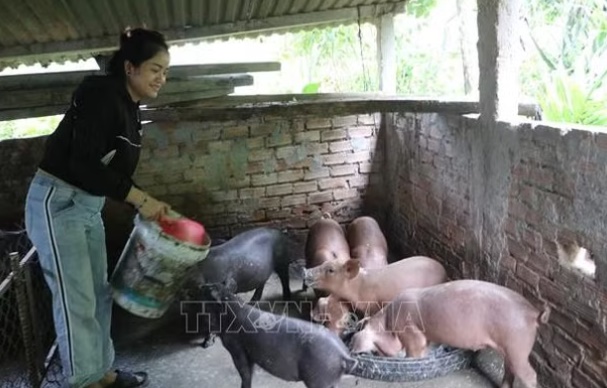 Tín dụng chính sách tiếp sức sinh kế bền vững cho đồng bào vùng cao - Ảnh 2.