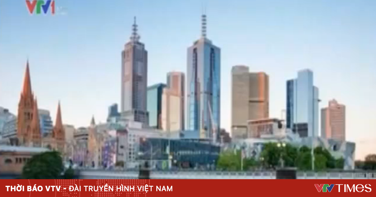 vtv.vn