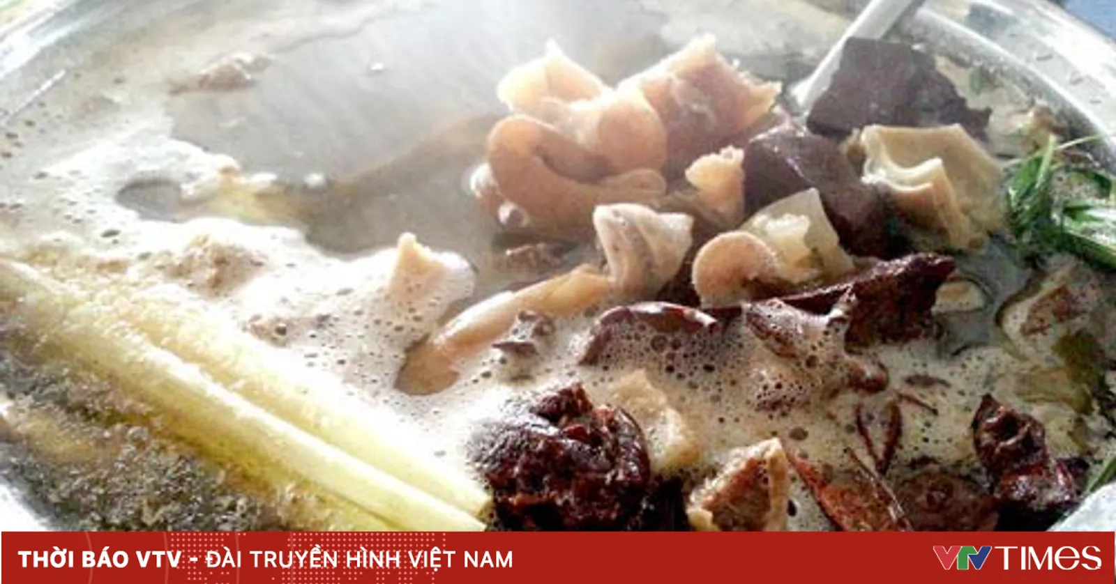 vtv.vn