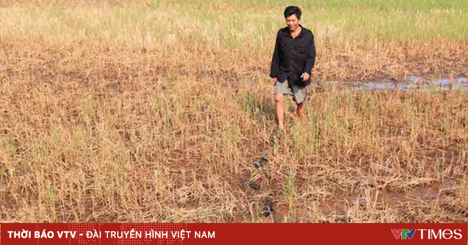 Nguy cơ thiếu nước ngọt sinh hoạt nghiêm trọng vào cao điểm mùa khô
