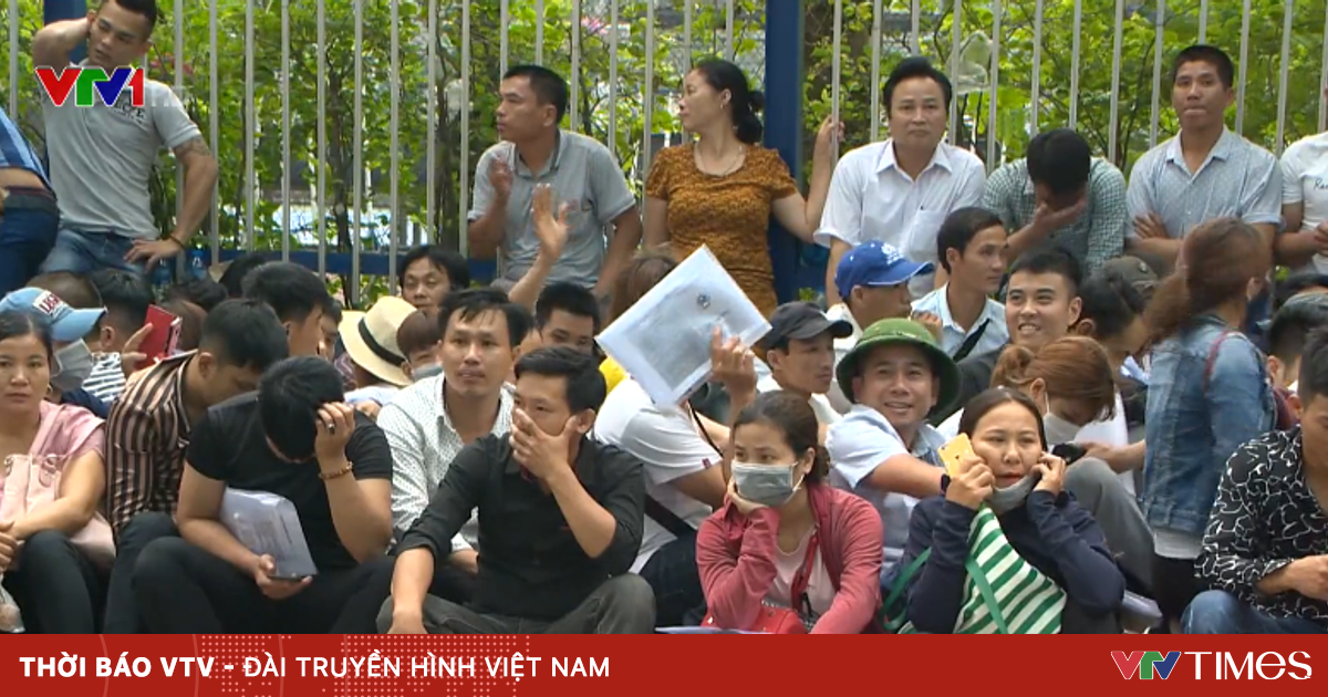 vtv.vn