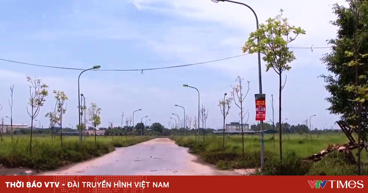 vtv.vn