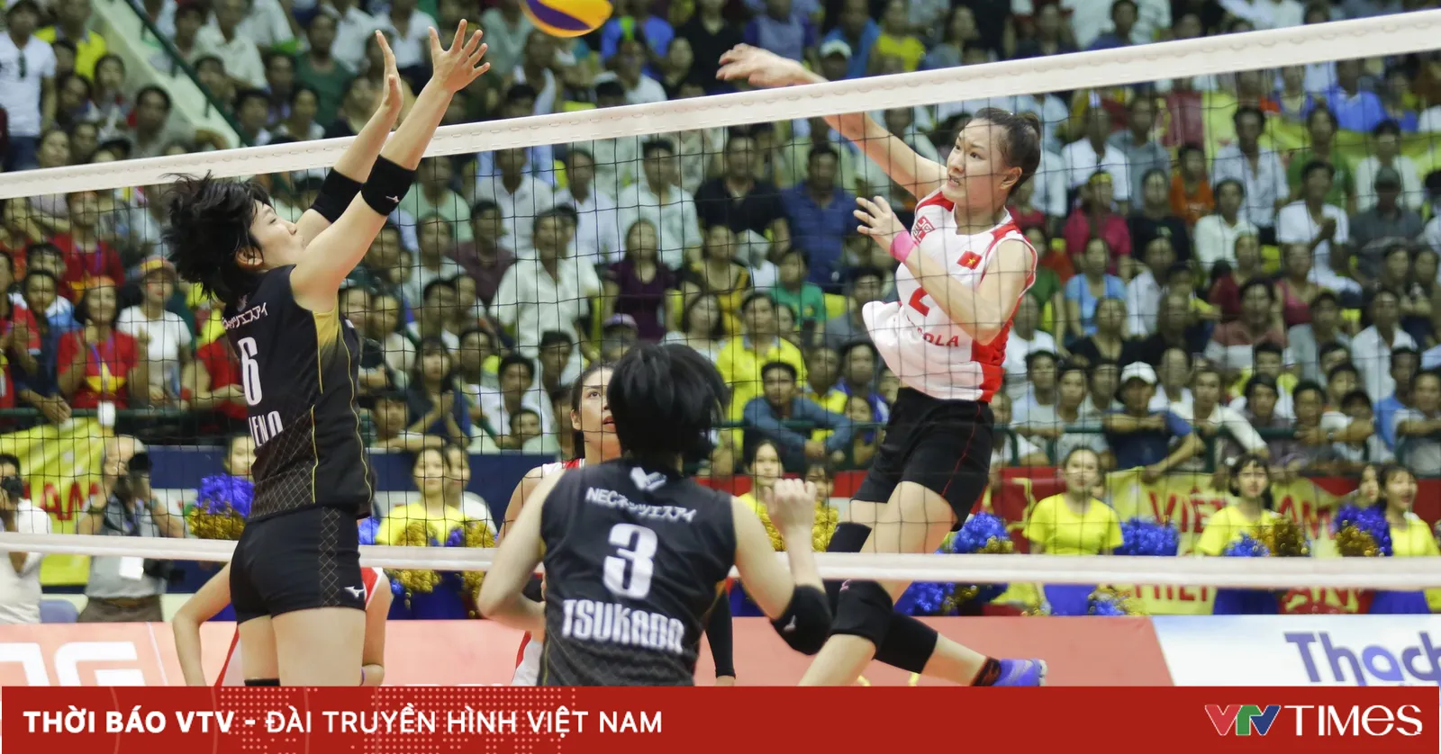 VTV Cup 2019: Khán giả 