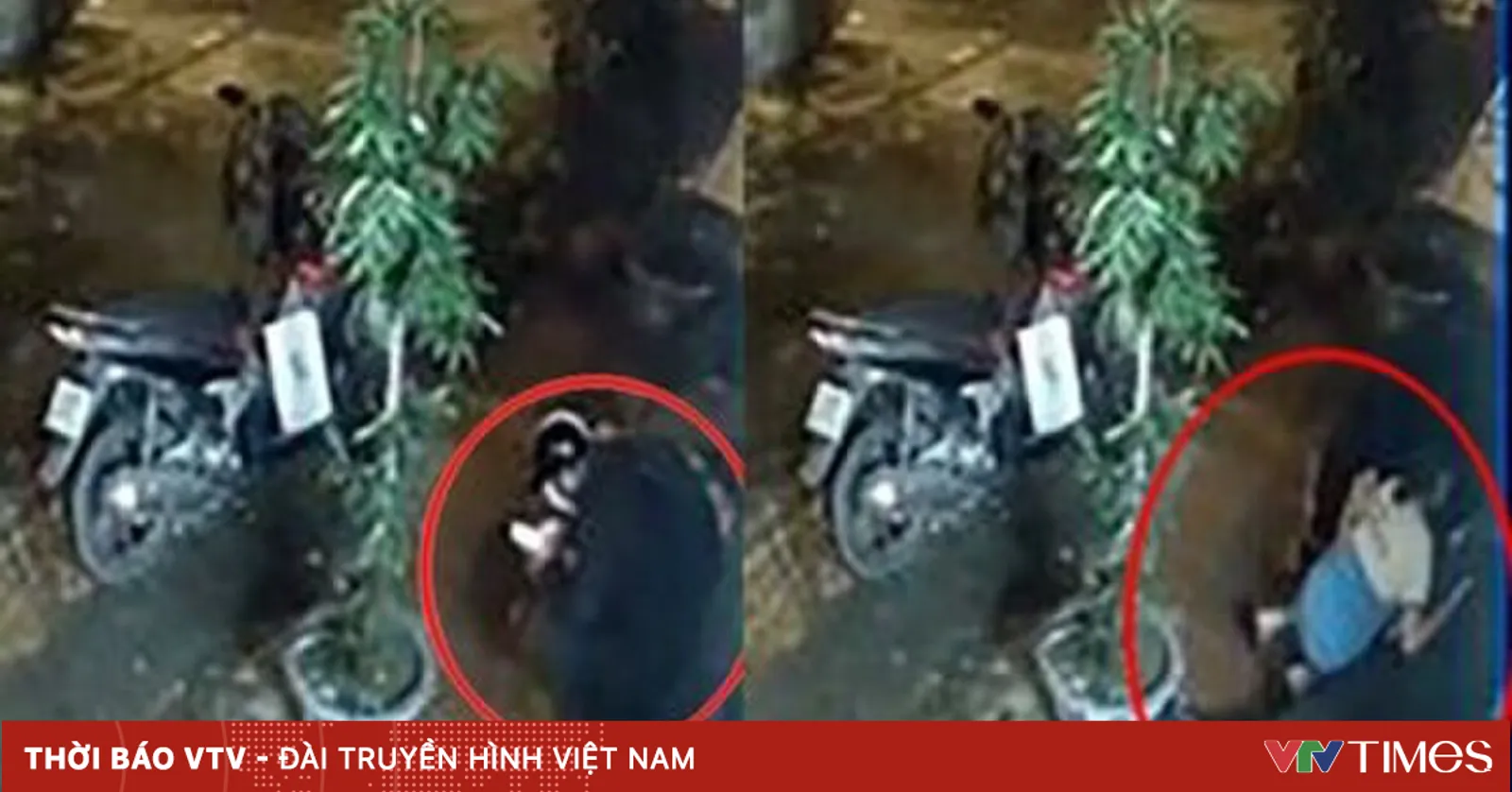 vtv.vn