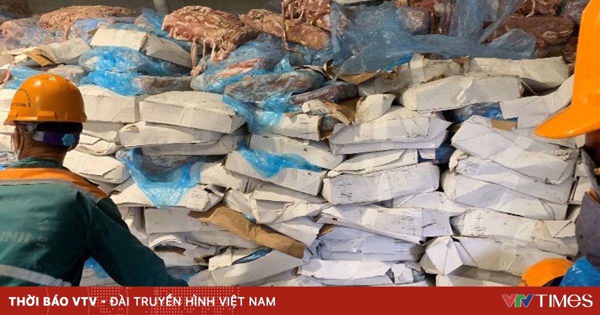 vtv.vn