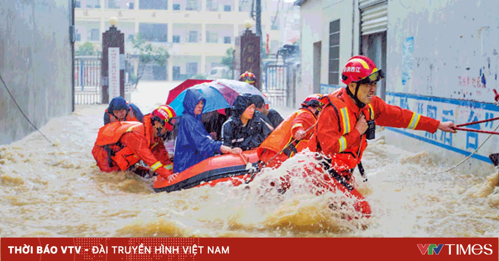 vtv.vn