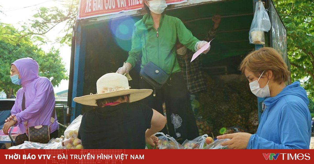 vtv.vn