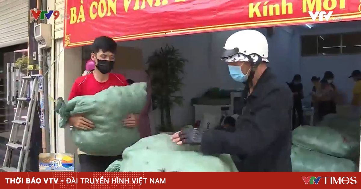 vtv.vn