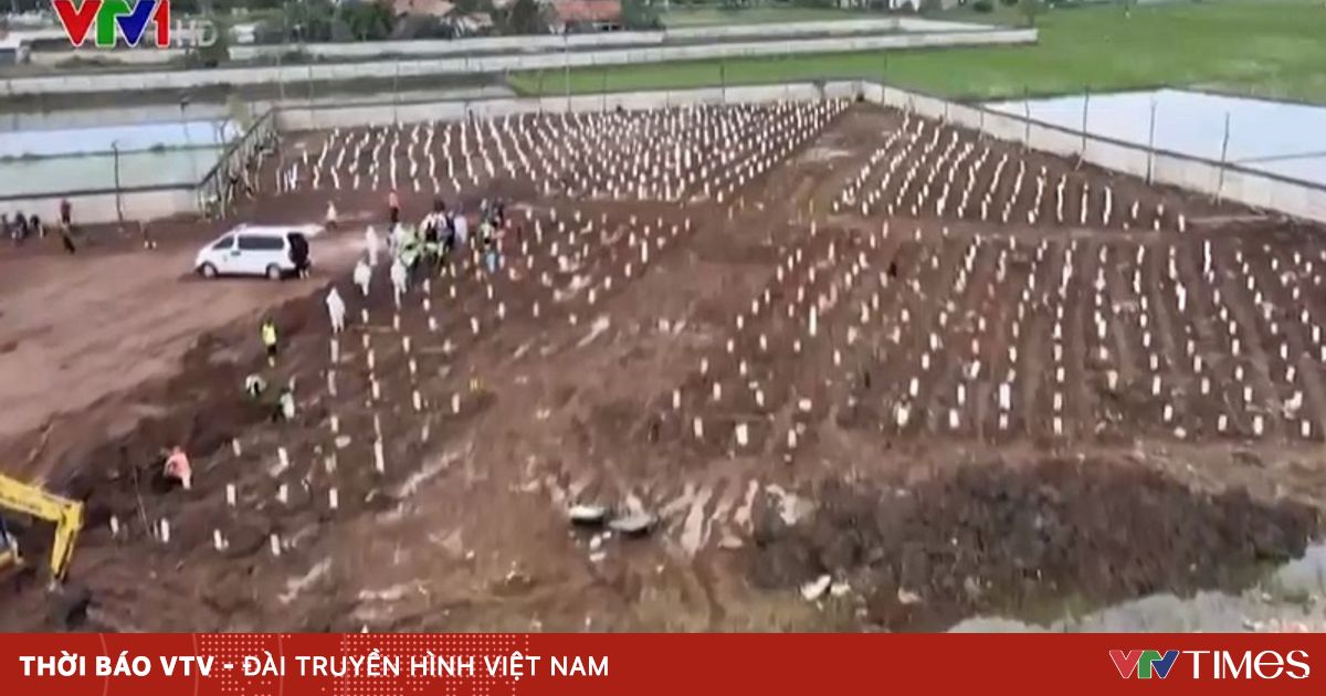 vtv.vn