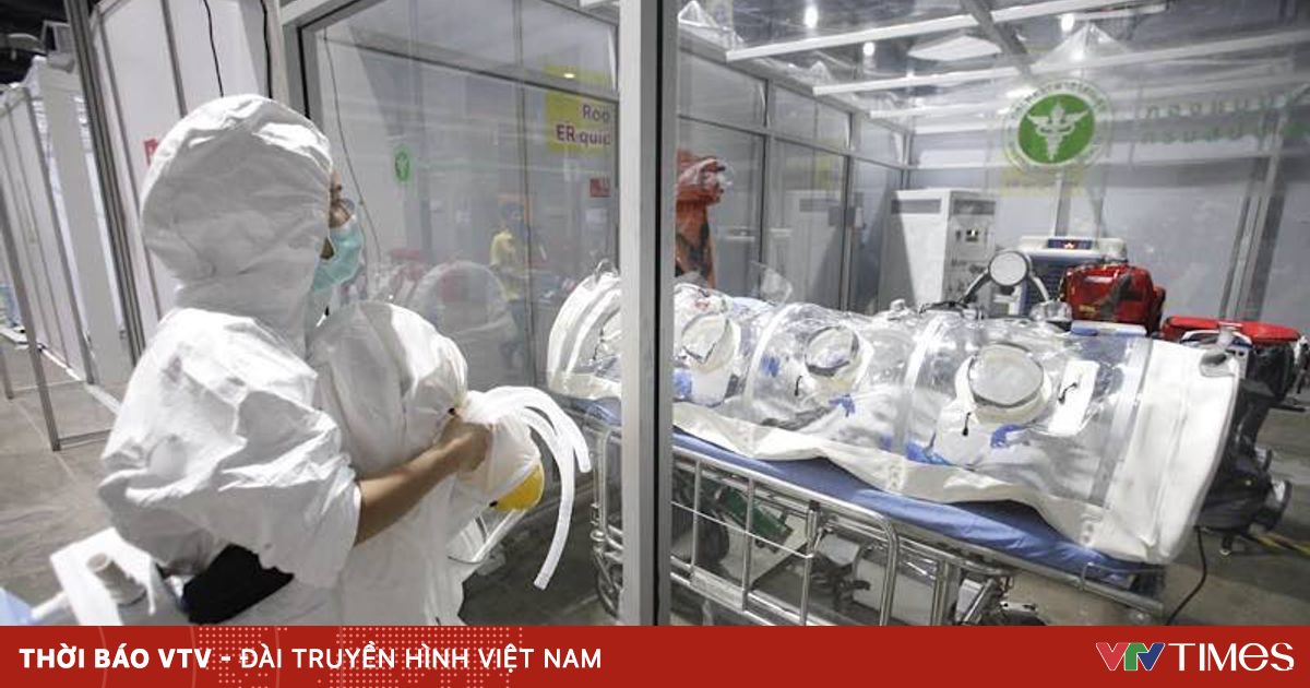 vtv.vn