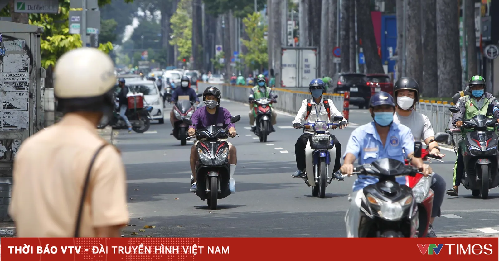 vtv.vn