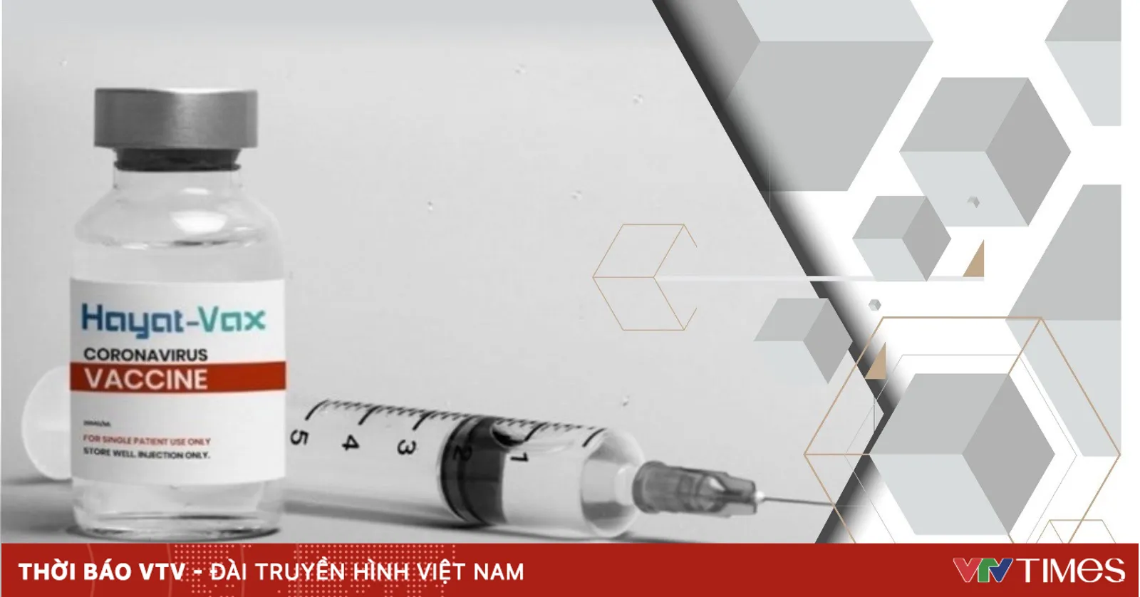 vtv.vn