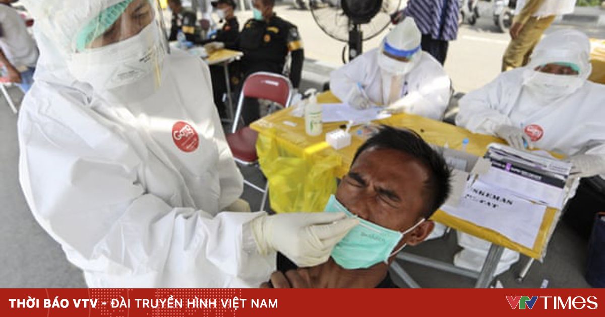 vtv.vn