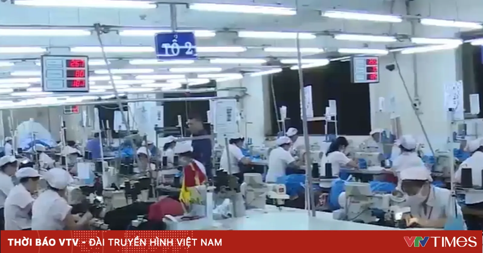 vtv.vn