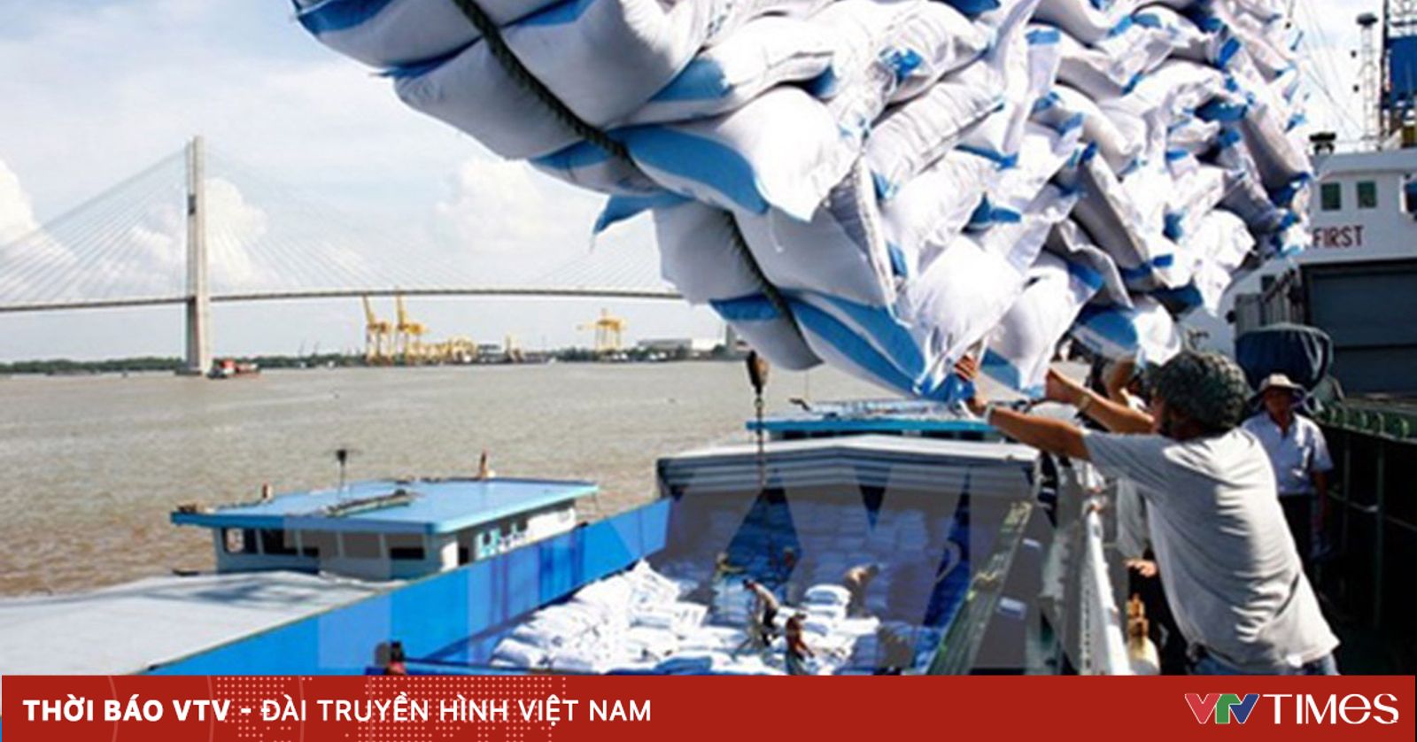 Gạo Việt khẳng định thương hiệu trên thị trường quốc tế