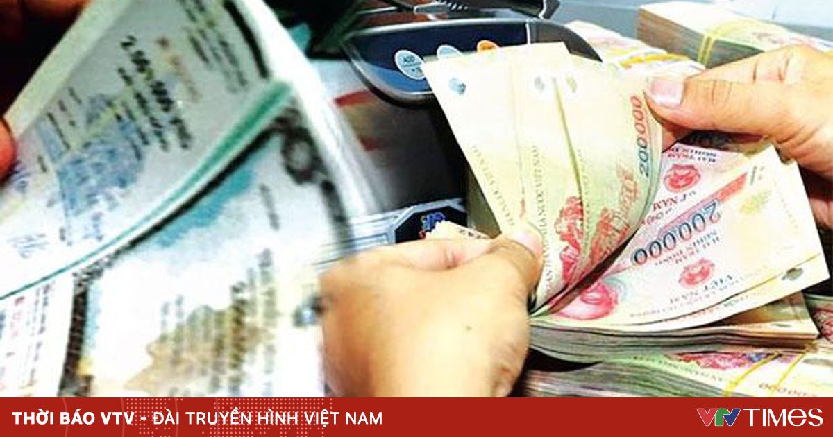vtv.vn