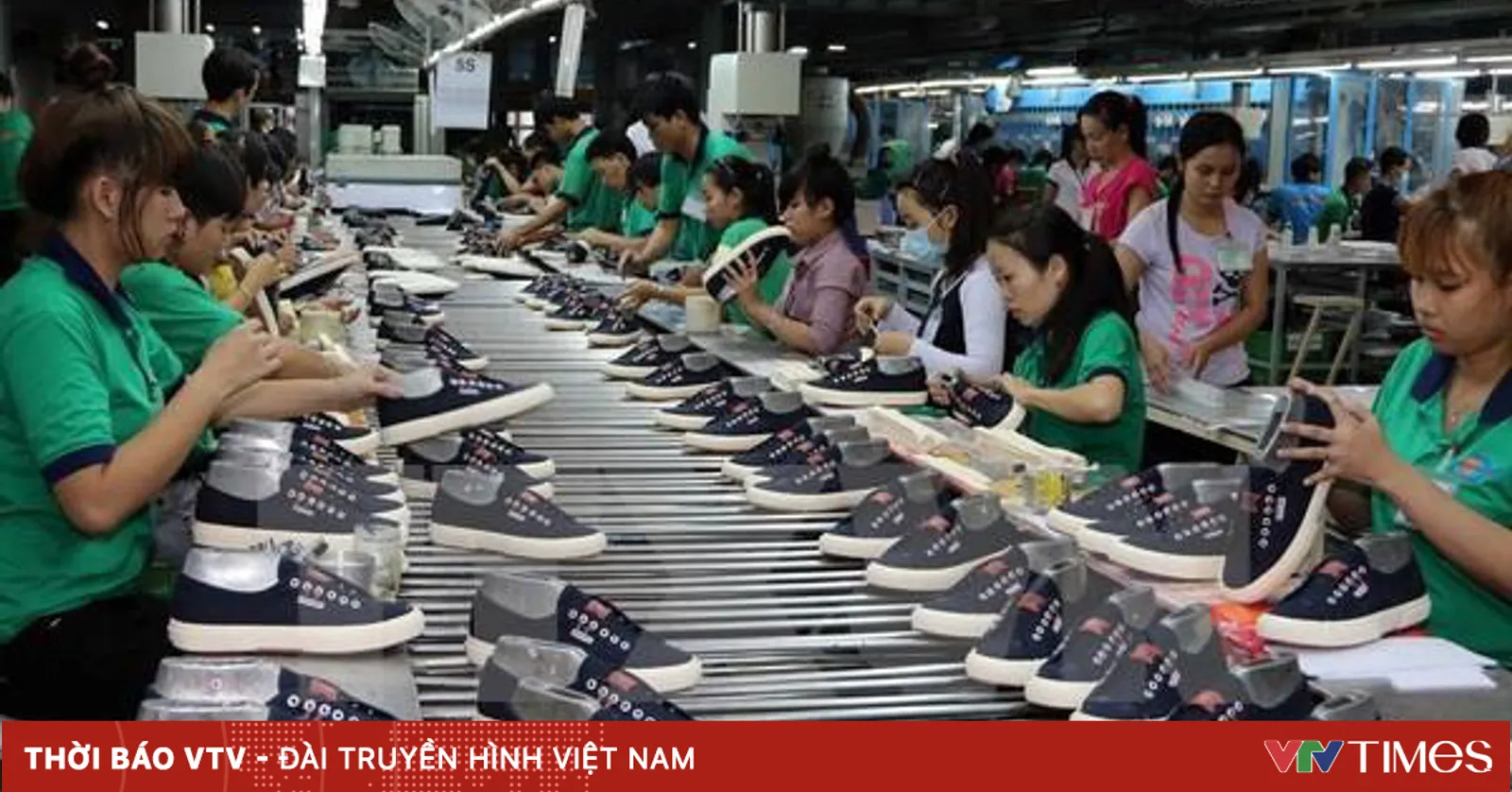 vtv.vn