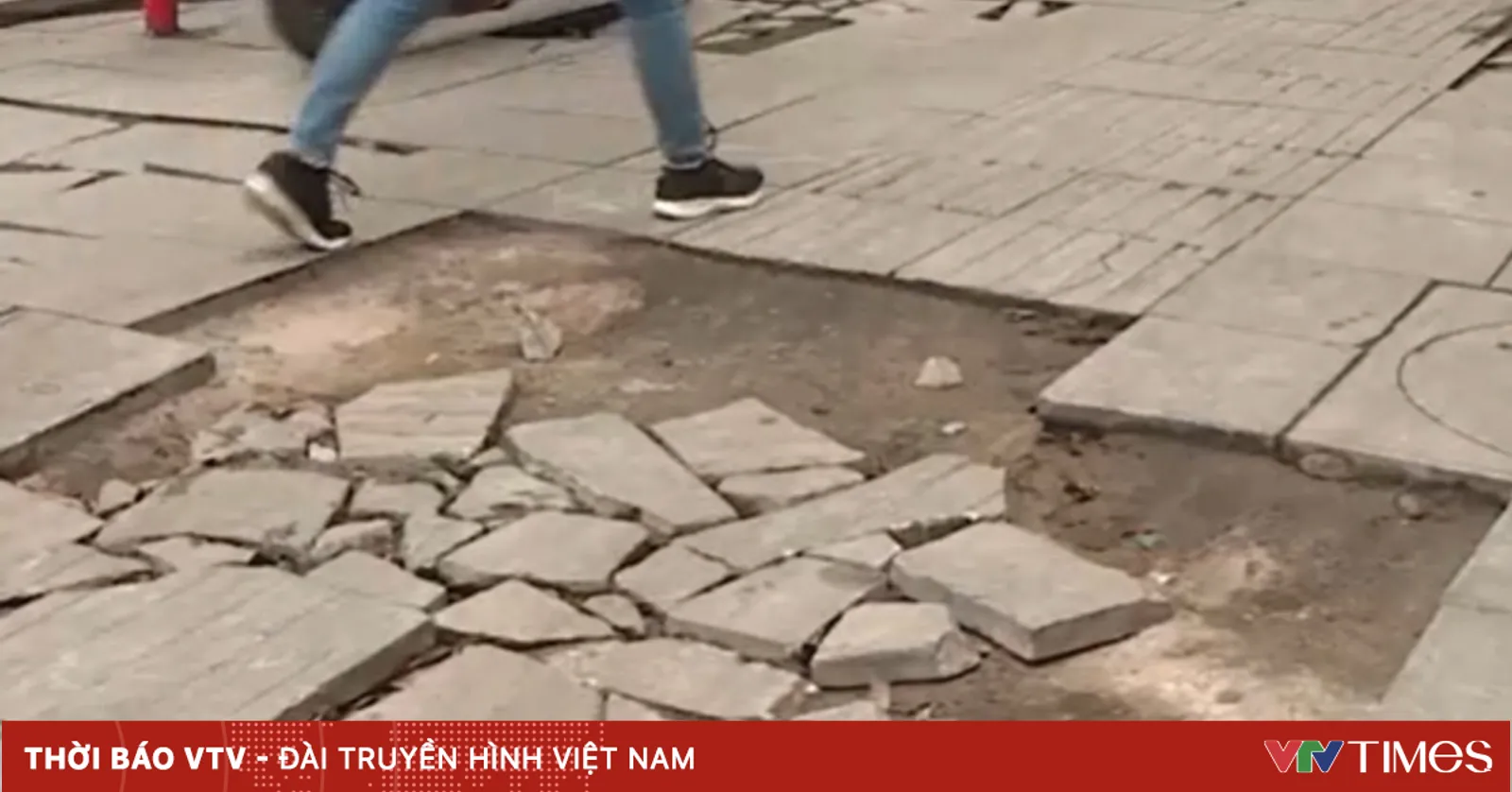 vtv.vn