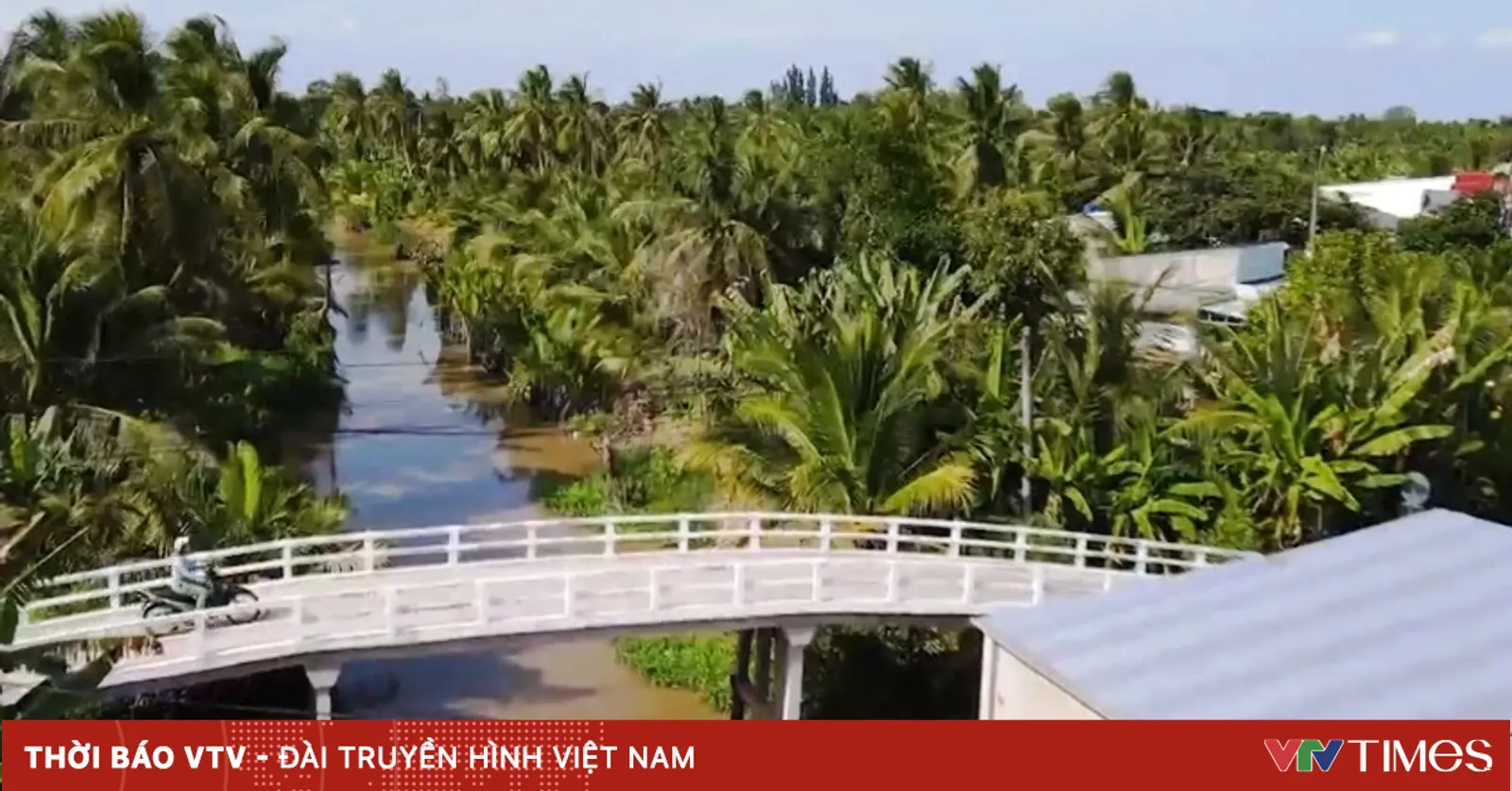 vtv.vn