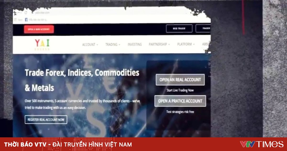 vtv.vn